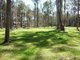 Photo - 1/1677 Thunderbolts Way, Rookhurst NSW 2422 - Image 4