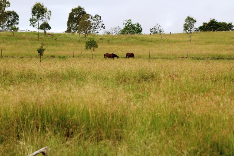 Photo - 1169 Cooeeimbardi Road, Fulham QLD 4313 - Image 5