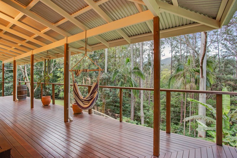 Photo - 1169 Tallebudgera Creek Road, Tallebudgera Valley QLD 4228 - Image 6