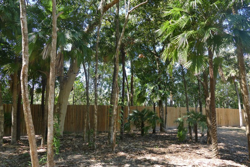 Photo - 116b Panguna Street, Trinity Beach QLD 4879 - Image 9