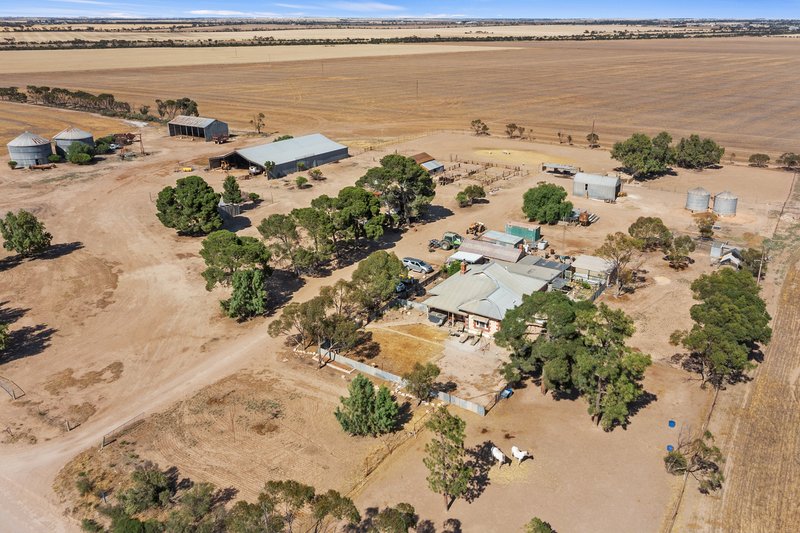 Photo - 117 Beare Road, Kadina SA 5554 - Image 3