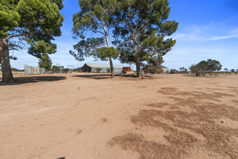 Photo - 117 Beare Road, Kadina SA 5554 - Image 19