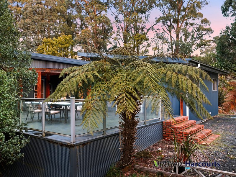 Photo - 117 Deviation Road, Kinglake VIC 3763 - Image 3