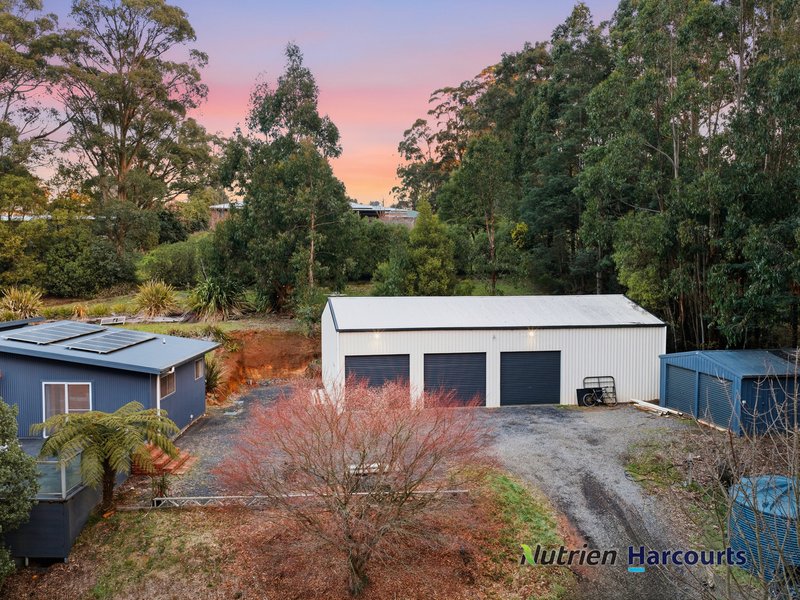 Photo - 117 Deviation Road, Kinglake VIC 3763 - Image 4