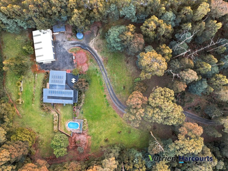 Photo - 117 Deviation Road, Kinglake VIC 3763 - Image 24