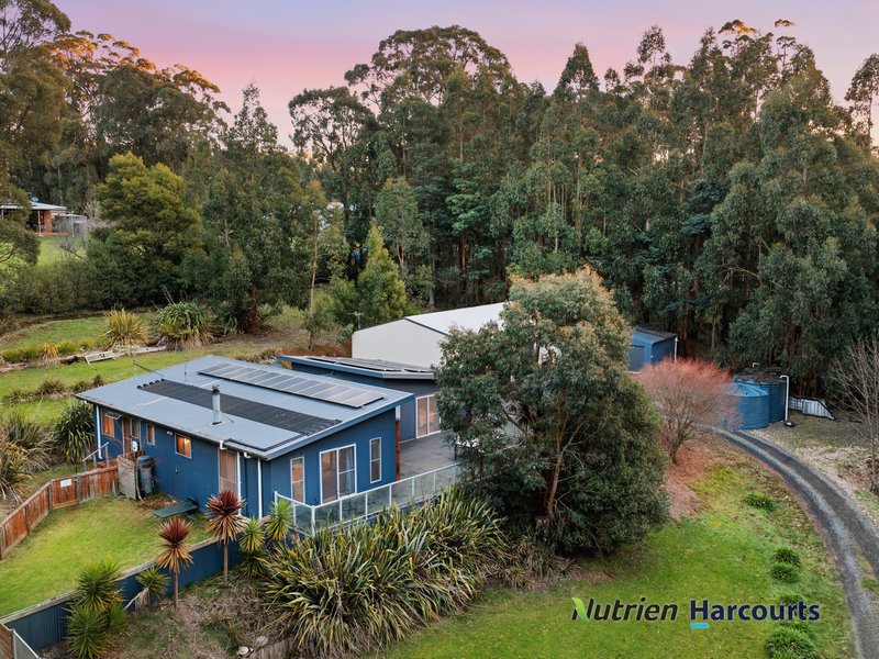 Photo - 117 Deviation Road, Kinglake VIC 3763 - Image 25