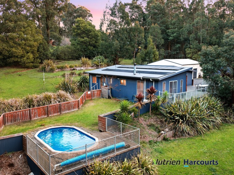 Photo - 117 Deviation Road, Kinglake VIC 3763 - Image 26