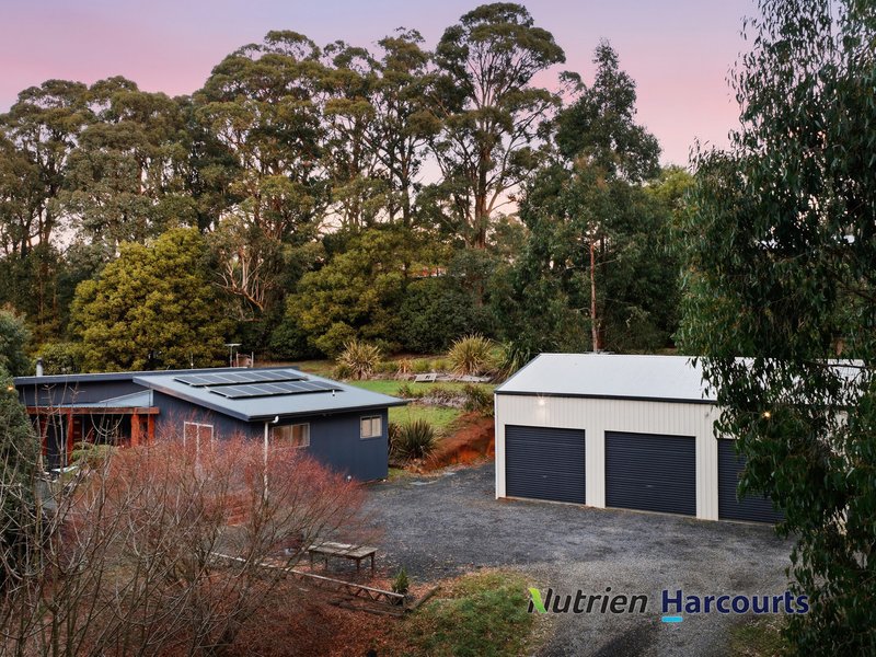 Photo - 117 Deviation Road, Kinglake VIC 3763 - Image 27