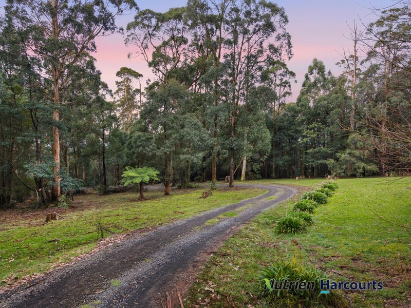 Photo - 117 Deviation Road, Kinglake VIC 3763 - Image 32