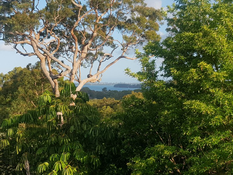 Photo - 117 Donnelly Road, Arcadia Vale NSW 2283 - Image 18
