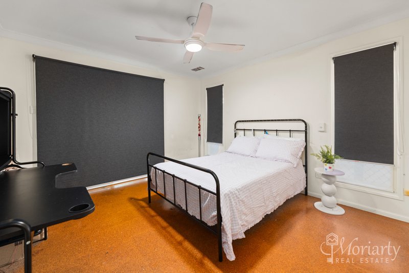 Photo - 117 Madeline Drive, Morayfield QLD 4506 - Image 6