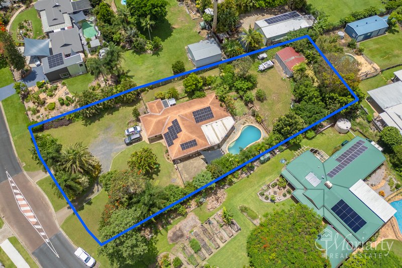 Photo - 117 Madeline Drive, Morayfield QLD 4506 - Image 13