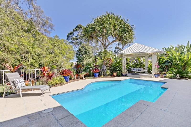 Photo - 117 Mountain Creek Road, Buderim QLD 4556 - Image 20