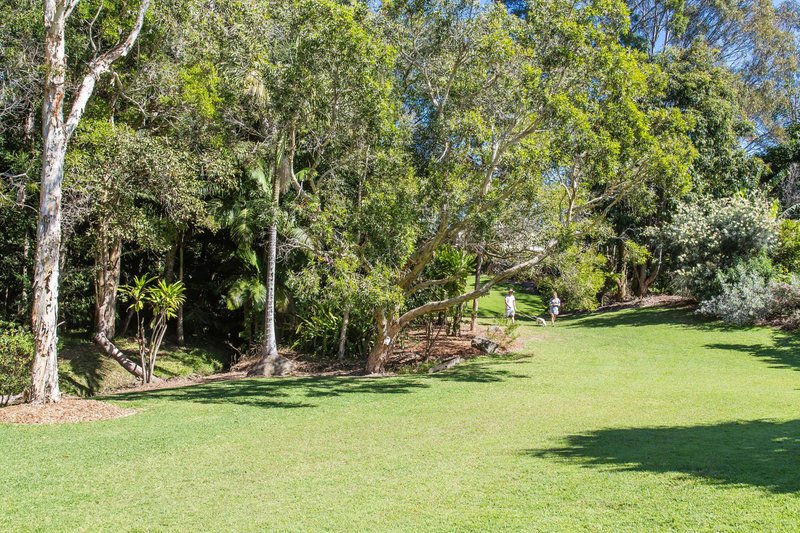 Photo - 117 Mountain Creek Road, Buderim QLD 4556 - Image 23