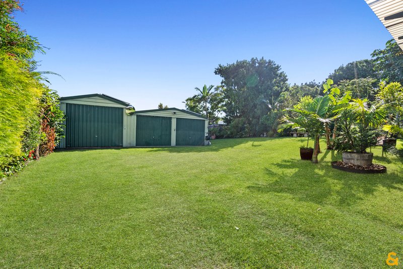 Photo - 117 Mountjoy Terrace, Manly QLD 4179 - Image 6