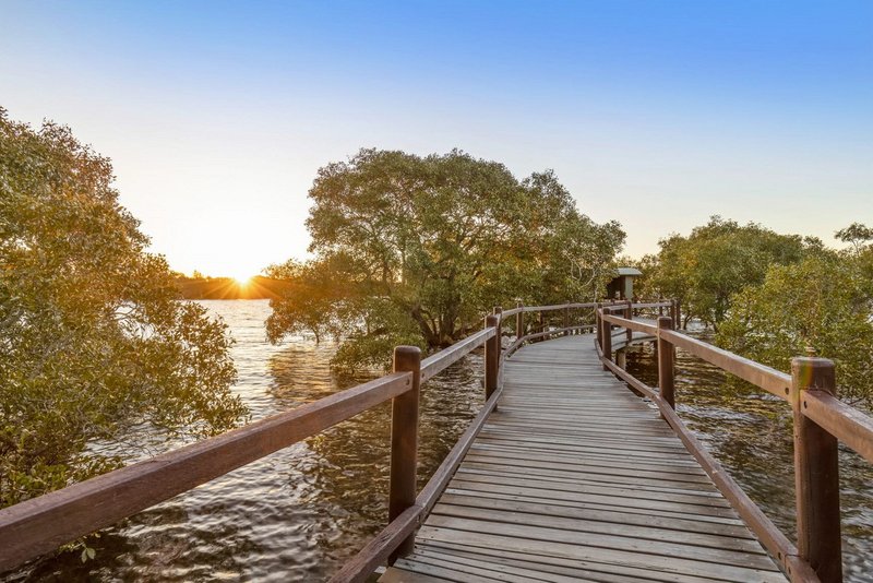Photo - 117 O'Quinn Street, Nudgee Beach QLD 4014 - Image 23