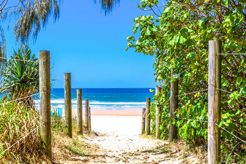 Photo - 117/1 Fiji Court, Parrearra QLD 4575 - Image 20