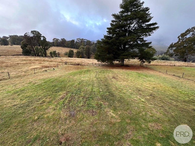 Photo - 1174 Batlow Road, Tumbarumba NSW 2653 - Image 12