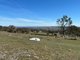 Photo - 1174 Pine Mount Road, Woodstock NSW 2793 - Image 14