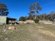 Photo - 1174 Pine Mount Road, Woodstock NSW 2793 - Image 15
