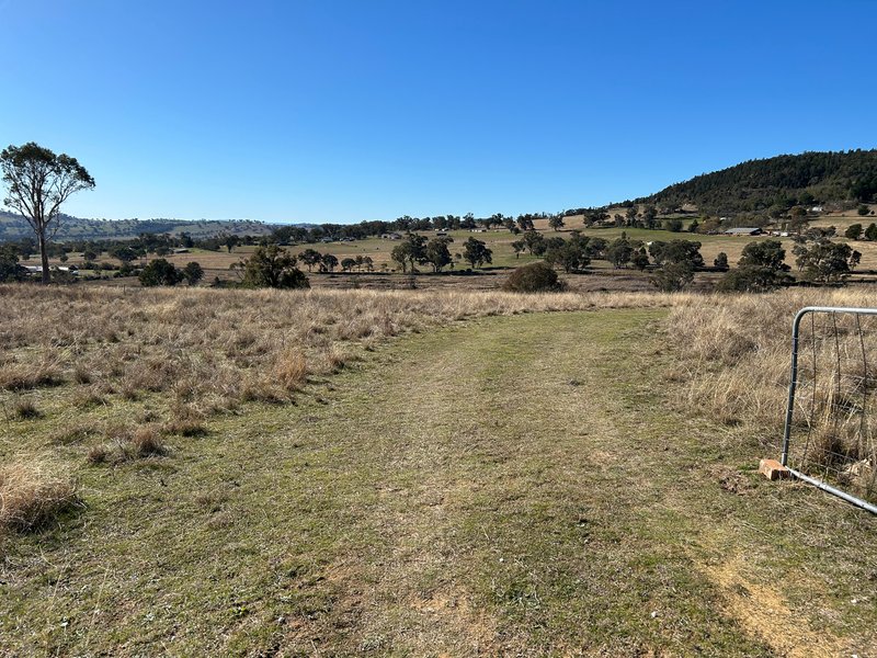 Photo - 1174 Pine Mount Road, Woodstock NSW 2793 - Image 16