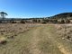 Photo - 1174 Pine Mount Road, Woodstock NSW 2793 - Image 16