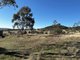 Photo - 1174 Pine Mount Road, Woodstock NSW 2793 - Image 17