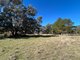 Photo - 1174 Pine Mount Road, Woodstock NSW 2793 - Image 18