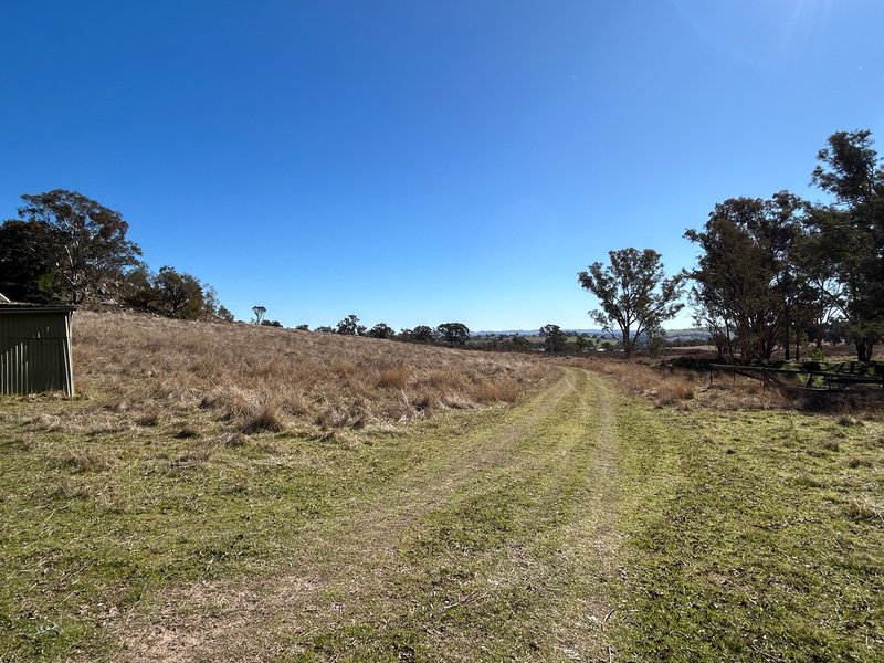 Photo - 1174 Pine Mount Road, Woodstock NSW 2793 - Image 20