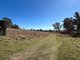 Photo - 1174 Pine Mount Road, Woodstock NSW 2793 - Image 20