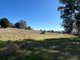 Photo - 1174 Pine Mount Road, Woodstock NSW 2793 - Image 21