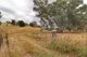 Photo - 1174 Pine Mount Road, Woodstock NSW 2793 - Image 24