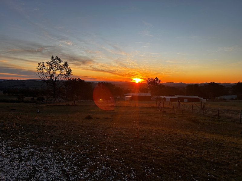 Photo - 1174 Pine Mount Road, Woodstock NSW 2793 - Image 25
