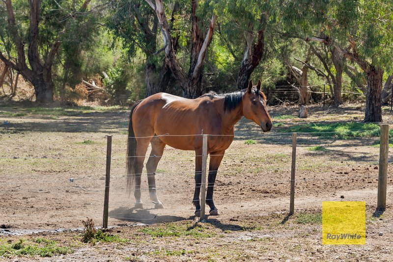 Photo - 1175 Bannockburn-Shelford Road, Teesdale VIC 3328 - Image 24