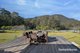 Photo - 1175 Bugong Road, Kangaroo Valley NSW 2577 - Image 6