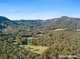 Photo - 1175 Bugong Road, Kangaroo Valley NSW 2577 - Image 24