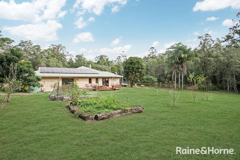 Photo - 1175 Louis Bazzo Drive, Cootharaba QLD 4565 - Image 19