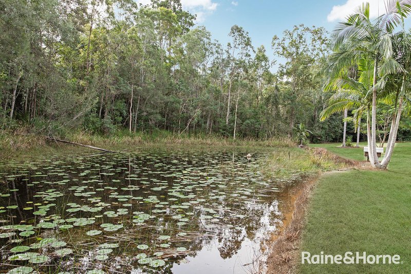 Photo - 1175 Louis Bazzo Drive, Cootharaba QLD 4565 - Image 23