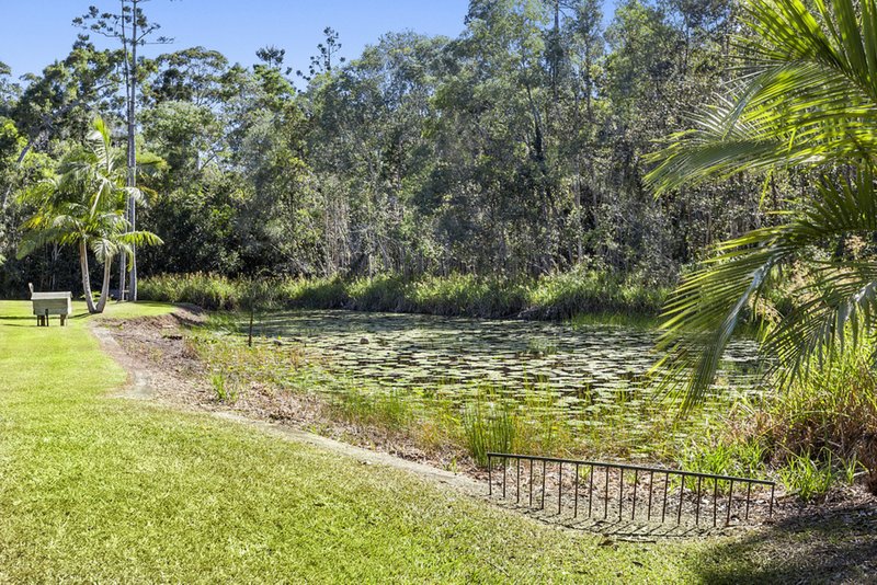 Photo - 1175 Louis Bazzo Drive, Cootharaba QLD 4565 - Image 16