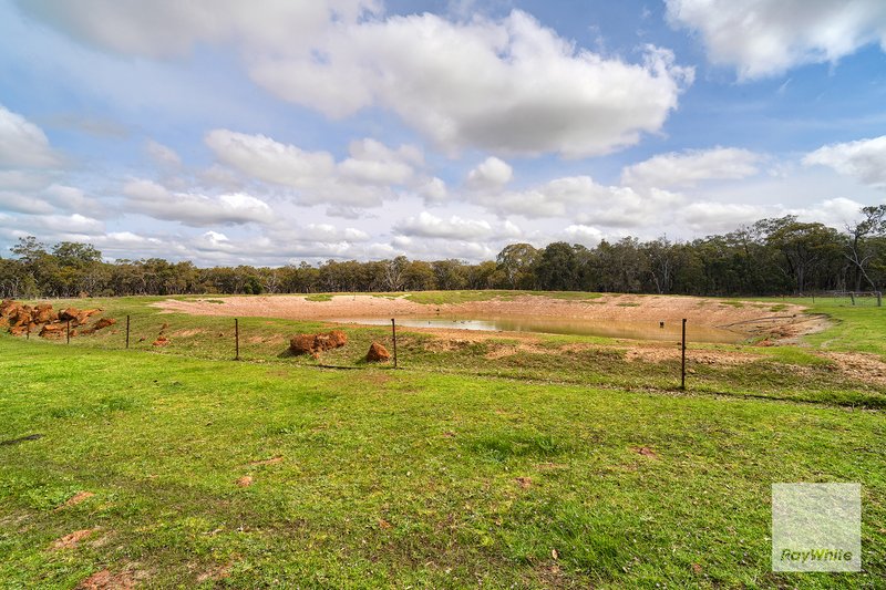 Photo - 1175 Millinup Road, Porongurup WA 6324 - Image 29