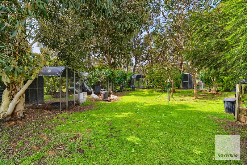 Photo - 1175 Millinup Road, Porongurup WA 6324 - Image 30