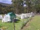 Photo - 1176 Nugent Road, Wattle Hill TAS 7172 - Image 20