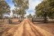 Photo - 117R Old Dubbo Road, Dubbo NSW 2830 - Image 2