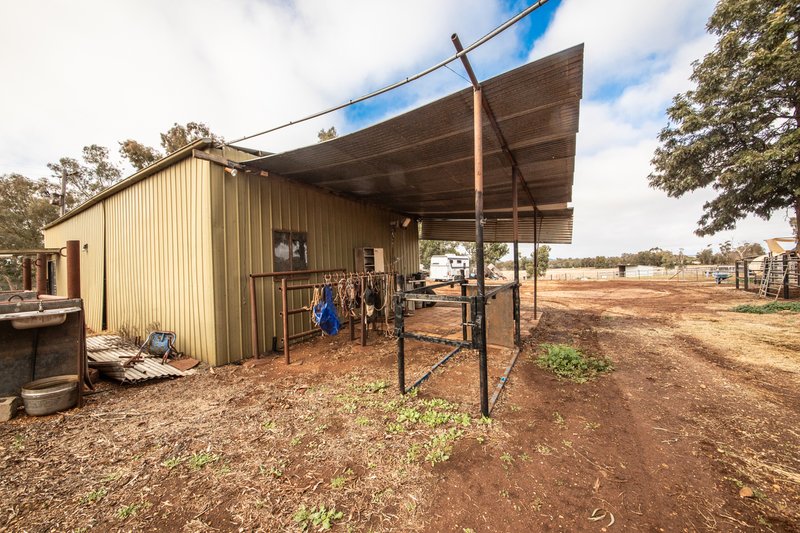 Photo - 117R Old Dubbo Road, Dubbo NSW 2830 - Image 4