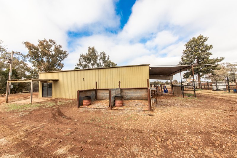 Photo - 117R Old Dubbo Road, Dubbo NSW 2830 - Image 5