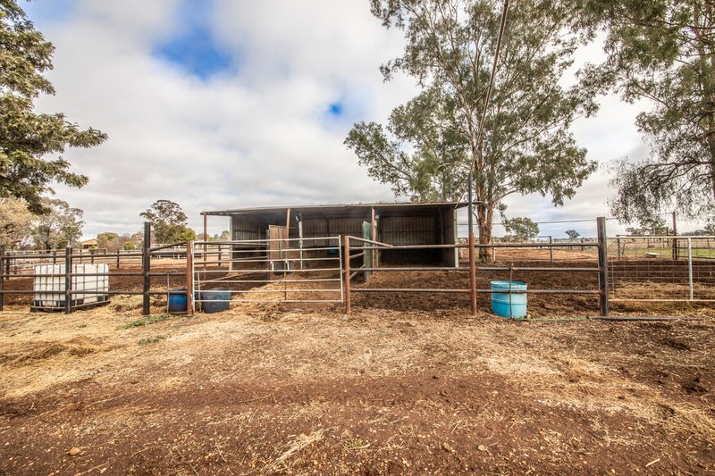 Photo - 117R Old Dubbo Road, Dubbo NSW 2830 - Image 6