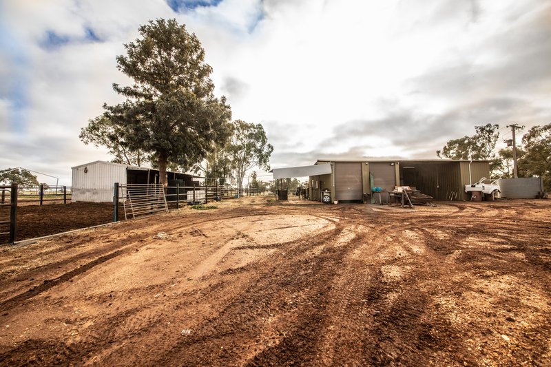 Photo - 117R Old Dubbo Road, Dubbo NSW 2830 - Image 7