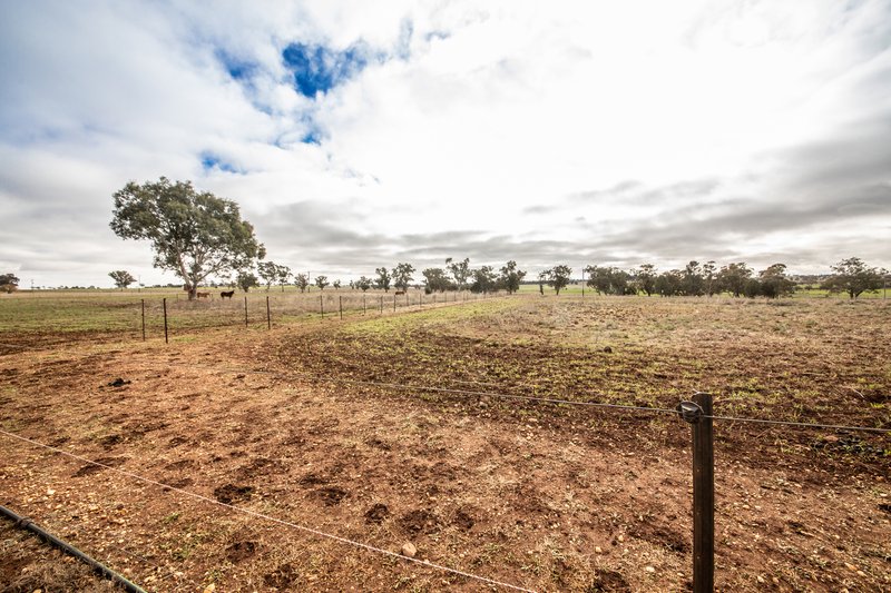 Photo - 117R Old Dubbo Road, Dubbo NSW 2830 - Image 11