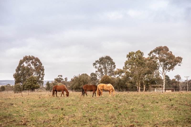 Photo - 117R Old Dubbo Road, Dubbo NSW 2830 - Image 13