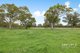 Photo - 118 Brookman Road, Meadows SA 5201 - Image 25